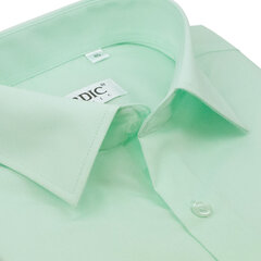 Рубашка для мужчин Nordic, зелёная цена и информация | Мужские рубашки | kaup24.ee