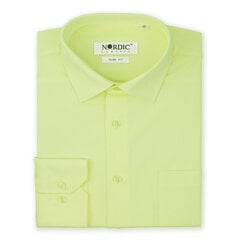 Рубашка для мужчин Nordic, зелёная цена и информация | Мужские рубашки | kaup24.ee