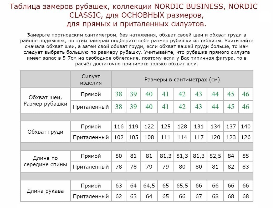 Särk meestele Nordic, sinine цена и информация | Meeste särgid ja triiksärgid | kaup24.ee