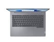 Lenovo ThinkBook 14 G6 ABP (21KJ002LMX) цена и информация | Sülearvutid | kaup24.ee