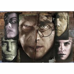 Pusle Harry Potter Clementoni, 1000 tk цена и информация | Пазлы | kaup24.ee