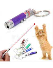 Лазерная дразнилка для кошек, Electronics LV-2131, 6 шт цена и информация | Игрушки для кошек | kaup24.ee