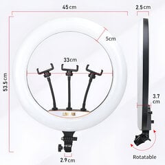 18-tolline LED-rõngasvalgusti koos alusega LIVMAN zbbgd-002 (led ring) hind ja info | Fotovalgustuse seadmed | kaup24.ee