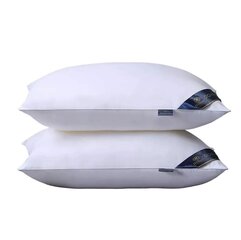 Linenspa подушка, 48x74cm, 2шт, белая цена и информация | Подушки | kaup24.ee