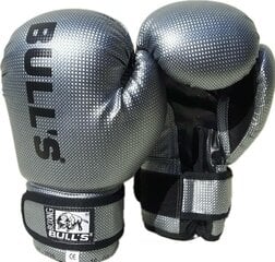 Боксерские перчатки Sportera Bulls серые цена и информация | Боевые искусства | kaup24.ee