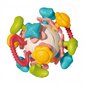 Sensoorne mänguasi 4in1 Woopie Baby цена и информация | Imikute mänguasjad | kaup24.ee