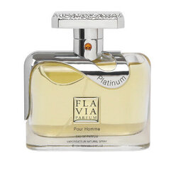 Parfüümvesi Flavia Platinum EDP meestele, 100 ml hind ja info | Meeste parfüümid | kaup24.ee