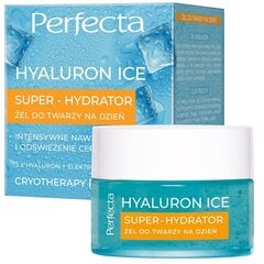Päeva näogeel Perfecta Hyaluron Ice Super-Hydrator, 50 ml цена и информация | Кремы для лица | kaup24.ee