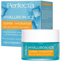 Päeva näogeel Perfecta Hyaluron Ice Super-Hydrator, 50 ml цена и информация | Кремы для лица | kaup24.ee