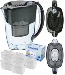 Aquaphor Amethyst Maxfor+ цена и информация | Фильтры для воды | kaup24.ee