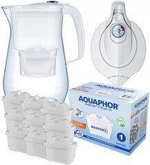 Filterkann Aquaphor Onyx 4,2L, valge + 9tk B25 Maxfor+ hind ja info | Filterkannud ja filtrid | kaup24.ee