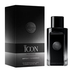 Kahjustatud pakendiga toode. Parfüümvesi Antonio Banderas The Icon EDP meestele 100 ml hind ja info | Parfüümid ja kosmeetika kahjustatud pakendis | kaup24.ee