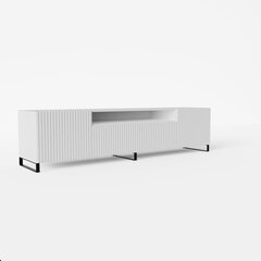 ТВ шкафчик ADRK Furniture Noemi, белый цвет цена и информация | Тумбы под телевизор | kaup24.ee