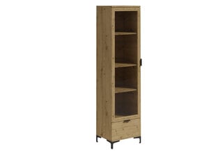 Шкафчик ADRK Furniture Lenea G013, коричневый цвет цена и информация | Шкафчики в гостиную | kaup24.ee