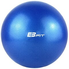 Pilatese treeningpall 25 cm, sinine hind ja info | Võimlemispallid | kaup24.ee