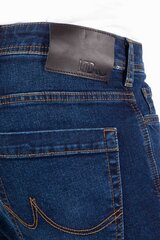 Джинсы Ltb Jeans 1009510541472253990-40/32 цена и информация | Мужские джинсы | kaup24.ee