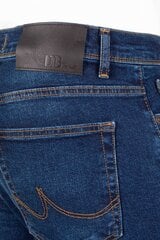 Teksad meestele Ltb Jeans, sinine hind ja info | Meeste teksad | kaup24.ee