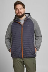 Курткa Jack &amp; Jones 12182318GREYMELSETIN-3XL цена и информация | Мужские куртки | kaup24.ee