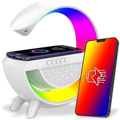 LED-lamp koos Qi nutikas laadimisfunktsiooniga võimsusega 15 W, Bluetooth-kõlar, FM-raadio, AUX-ühendus цена и информация | Зарядные устройства для элементов питания | kaup24.ee