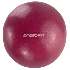 Pilatese pall, 25 cm, roosa hind ja info | Võimlemispallid | kaup24.ee