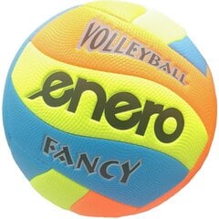 волейбол - модный вечер цена и информация | Волейбольные мячи | kaup24.ee