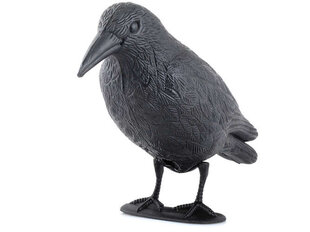 Aiakaunistus Raven, must hind ja info | Dekoratsioonid | kaup24.ee