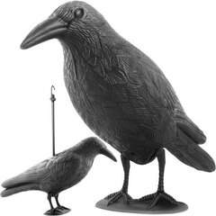 Aiakaunistus Raven, must hind ja info | Dekoratsioonid | kaup24.ee