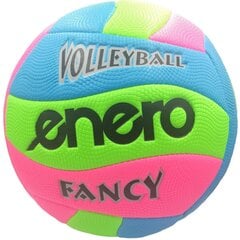волейбол enero fancy цена и информация | Волейбольные мячи | kaup24.ee