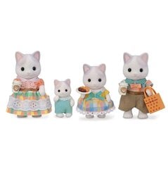 Figuuride komplekt Sylvanian Familiese maailma meie Latte Cat perekonnaga hind ja info | Tüdrukute mänguasjad | kaup24.ee
