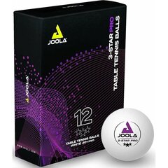 шарики для настольного тенниса, 12шт белые цена и информация | Мячи для настольного тенниса | kaup24.ee