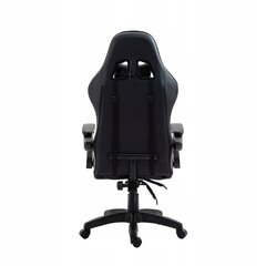 Компьютерное кресло Extreme Carbon цена и информация | Офисные кресла | kaup24.ee