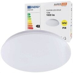 MasterLed LED потолочный светильник, 12Вт цена и информация | Потолочные светильники | kaup24.ee