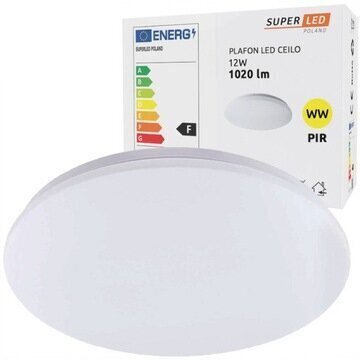 LED laevalgusti 12W hind ja info | Laelambid | kaup24.ee