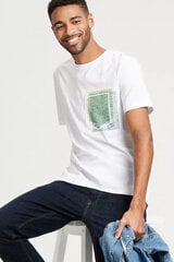 Футболкa Cross Jeans 15949008-L цена и информация | Мужские футболки | kaup24.ee