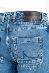 Джинсы Ltb Jeans 1009517041528354984-36/34 цена и информация | Мужские джинсы | kaup24.ee
