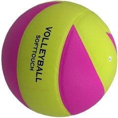 волейбол - enero spin цена и информация | Волейбольные мячи | kaup24.ee