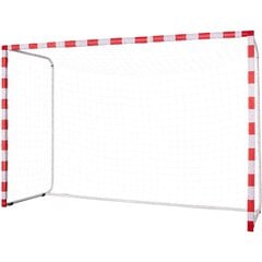 футбольные ворота 300x160x90 см цена и информация | Футбольные ворота и сетки | kaup24.ee