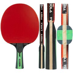 ракетка для настольного тенниса, красная цена и информация | Ракетки для настольного тенниса, чехлы и наборы | kaup24.ee