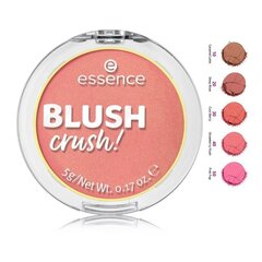 Essence Blush Crush! 5ml цена и информация | Бронзеры (бронзаторы), румяна | kaup24.ee