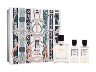 Parfümeeria komplekt meestele Hermes Terre D'Hermes EDT meestele: tualettvesi 50 ml + dušigeel 40 ml + habemeajamisvesi 40 ml цена и информация | Мужские духи | kaup24.ee