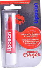 Huulepalsam Liposan Crayon Liposan (3 g) hind ja info | Huulepulgad, -läiked, -palsamid, vaseliin | kaup24.ee