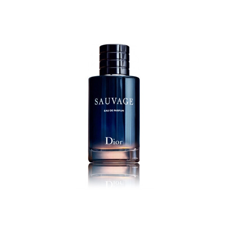 Komplekt Christian Dior Sauvage EDP meestele: parfüümvesi 100 ml + mini 10 ml hind ja info | Meeste parfüümid | kaup24.ee