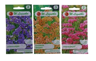 Limonium W. Legutko hind ja info | Lilleseemned | kaup24.ee