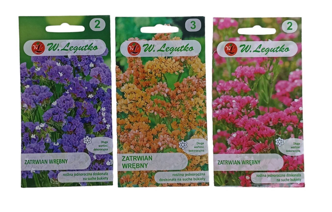 Limonium W. Legutko hind ja info | Lilleseemned | kaup24.ee