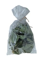 Looduslikud eukalüptilehed kotis, 60 tk hind ja info | Floristlika materjalid | kaup24.ee