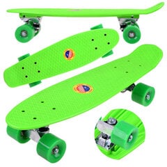 Скейтборд Fishboard, 55 см цена и информация | Скейтборды | kaup24.ee