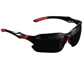 Поляризованные спортивные солнцезащитные очки для мужчин T16 цена и информация | Солнцезащитные очки для мужчин | kaup24.ee