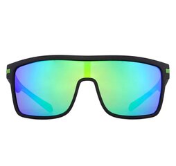 Поляризованные солнцезащитные очки для мужчин D1 цена и информация | Солнцезащитные очки для мужчин | kaup24.ee