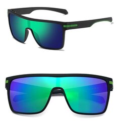 Поляризованные солнцезащитные очки для мужчин D1 цена и информация | Солнцезащитные очки для мужчин | kaup24.ee