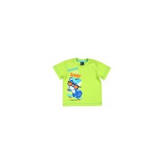 T-särk poistele G.T., roheline цена и информация | Рубашки для мальчиков | kaup24.ee